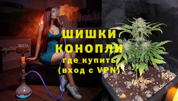 spice Медвежьегорск