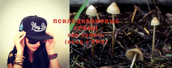 spice Медвежьегорск