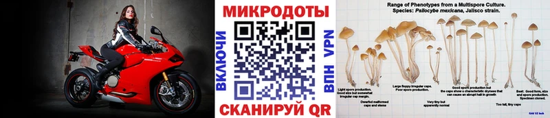 Галлюциногенные грибы Cubensis  Рязань 